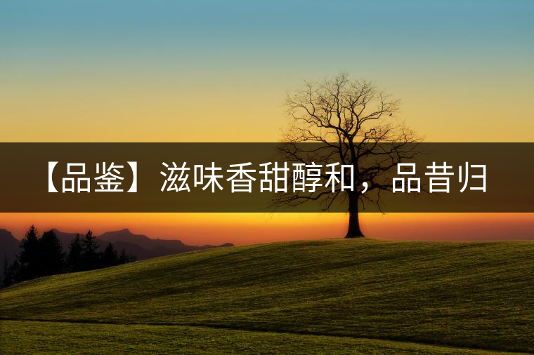 【品鑒】滋味香甜醇和，品昔歸古樹(shù)黃片