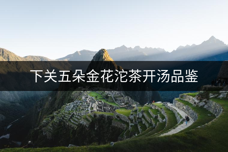 下關(guān)五朵金花沱茶開(kāi)湯品鑒