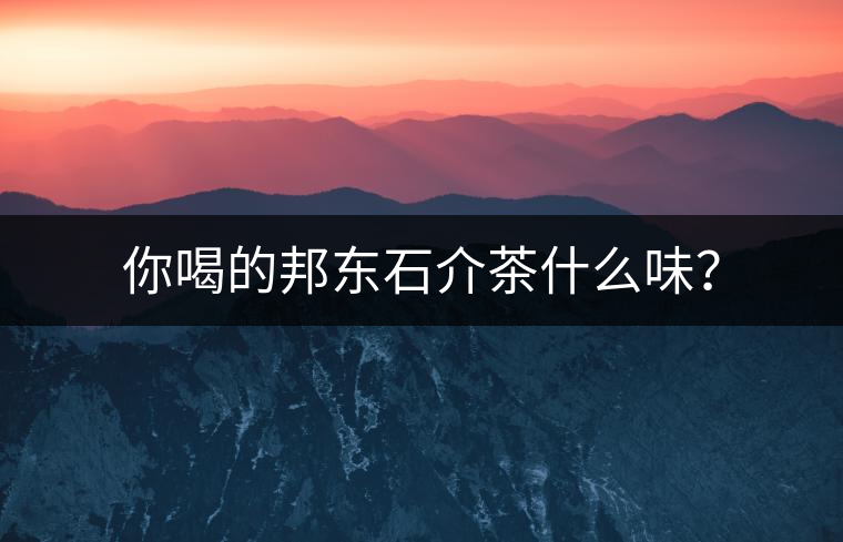 你喝的邦東石介茶什么味？