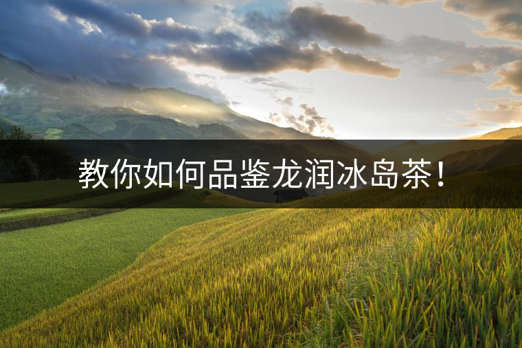 教你如何品鑒龍潤冰島茶！