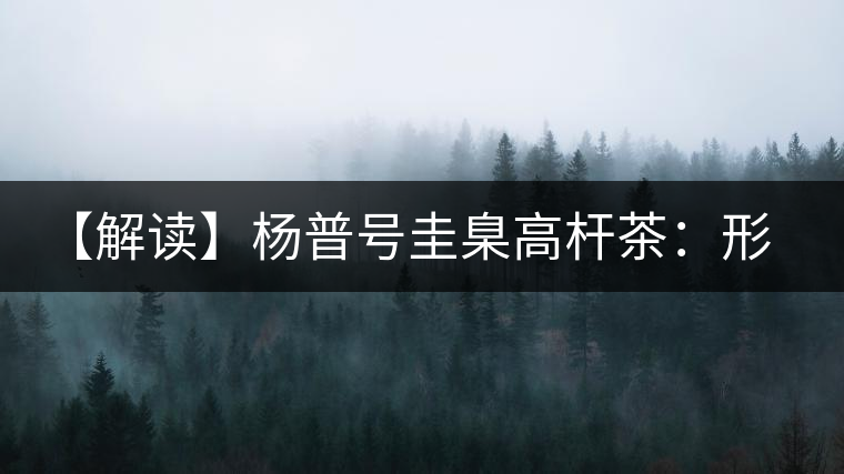 【解讀】楊普號(hào)圭臬高桿茶：形高、氣足、韻遠(yuǎn)的一款茶