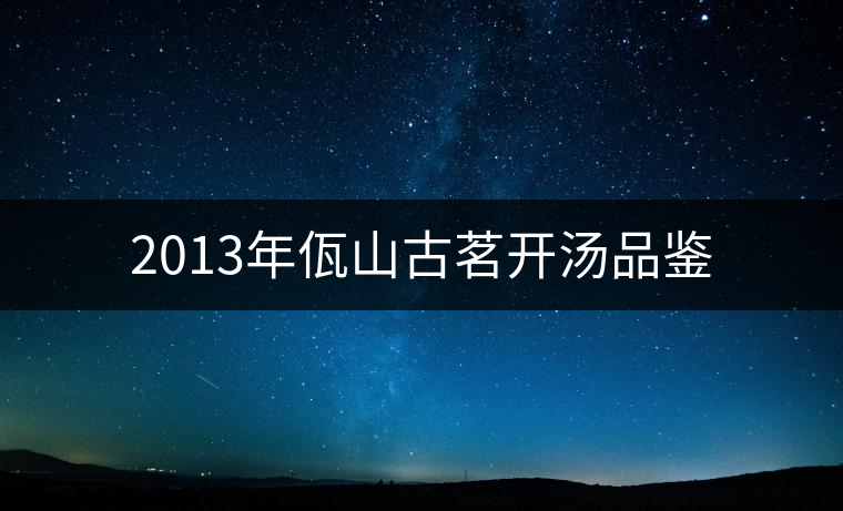 2013年佤山古茗開(kāi)湯品鑒