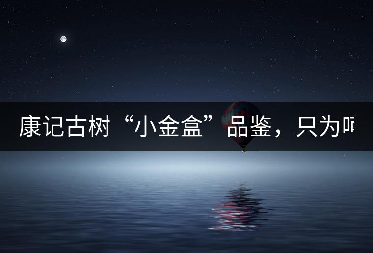 康記古樹(shù)“小金盒”品鑒，只為呵護(hù)您的味蕾！