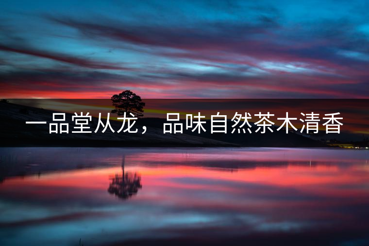 一品堂從龍，品味自然茶木清香