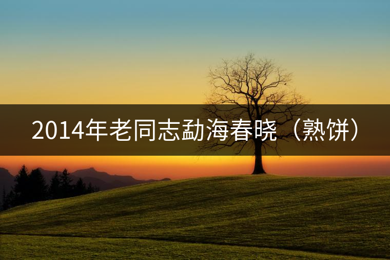 2014年老同志勐海春曉(熟餅) 2014年老同志勐海春曉(熟餅)