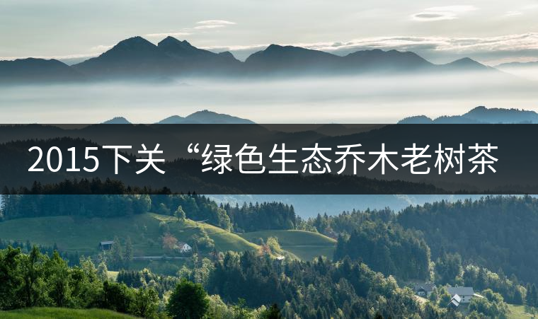 2015下關(guān)“綠色生態(tài)喬木老樹(shù)茶”開(kāi)湯