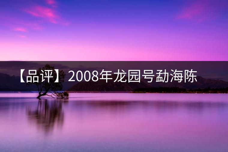 【品評(píng)】2008年龍園號(hào)勐海陳香熟磚