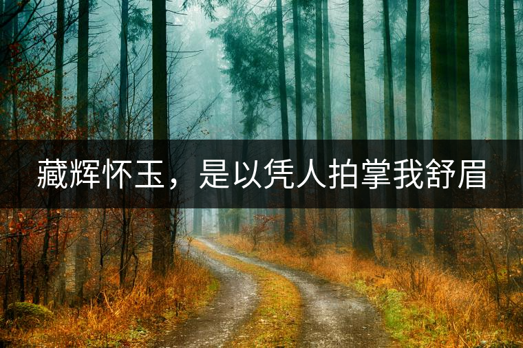 藏輝懷玉，是以憑人拍掌我舒眉