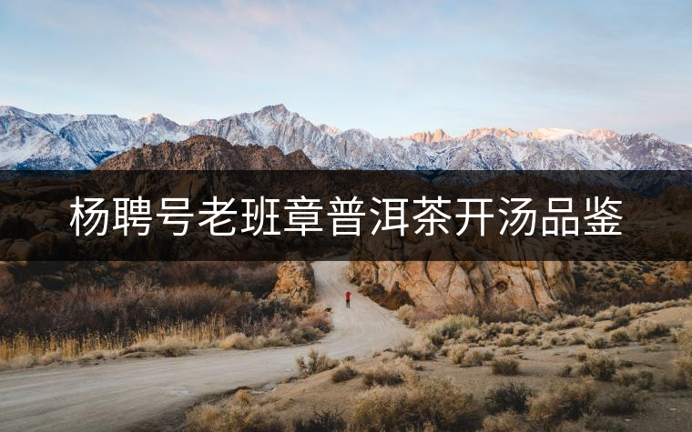 楊聘號(hào)老班章普洱茶開湯品鑒 楊聘號(hào)老班章普洱茶開湯品鑒