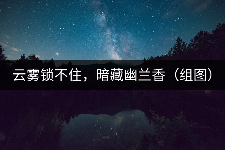 云霧鎖不住，暗藏幽蘭香（組圖）