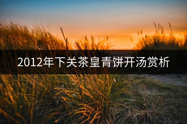 2012年下關(guān)茶皇青餅開湯賞析 2012年下關(guān)茶皇青餅開湯賞析