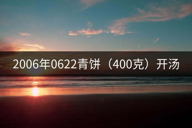 2006年0622青餅（400克）開湯