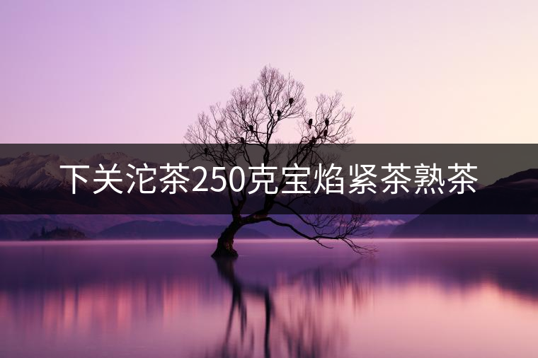 下關沱茶250克寶焰緊茶熟茶