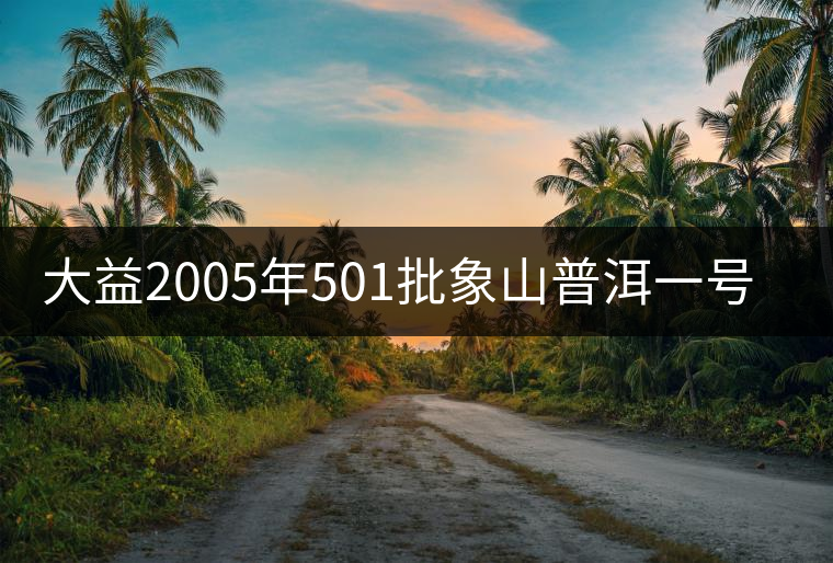 大益2005年501批象山普洱一號品評