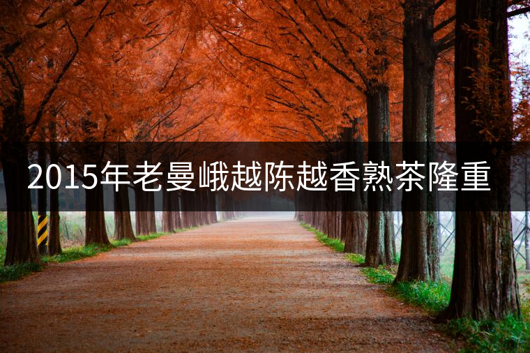 2015年老曼峨越陳越香熟茶隆重上市！