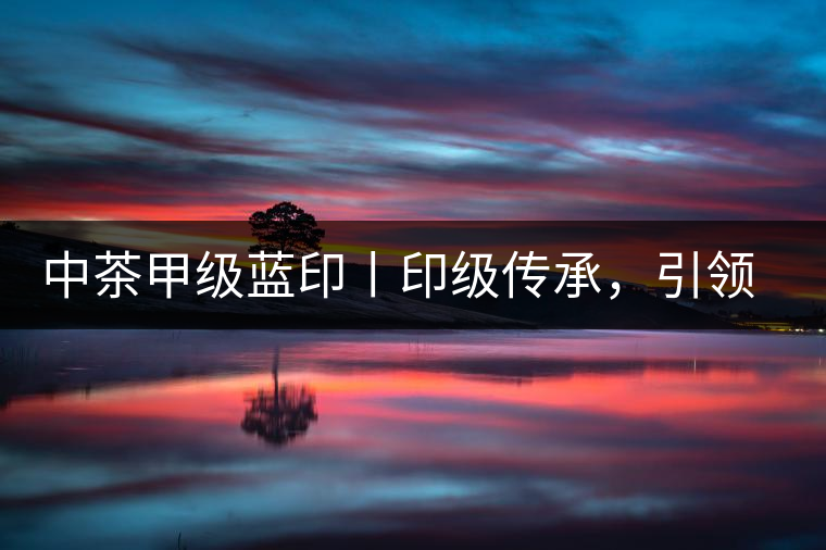 中茶甲級(jí)藍(lán)印丨印級(jí)傳承，引領(lǐng)風(fēng)韻