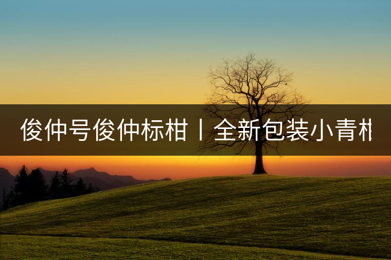 俊仲號(hào)俊仲標(biāo)柑丨全新包裝小青柑震撼上市！