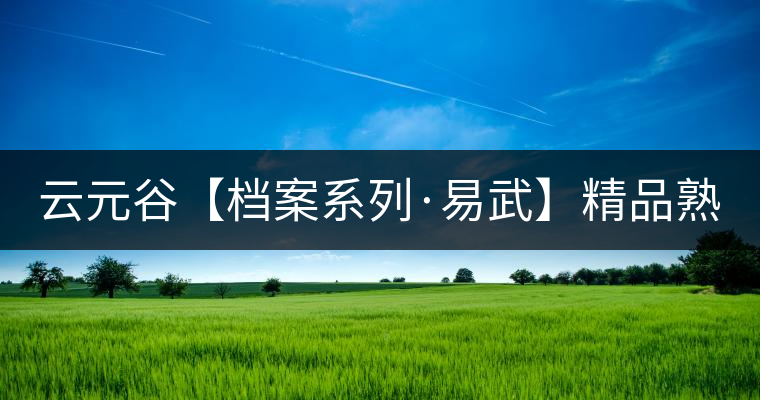 云元谷【檔案系列·易武】精品熟茶，精裝上市！