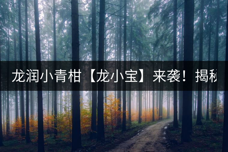 龍潤小青柑【龍小寶】來襲！揭秘它的前半生！