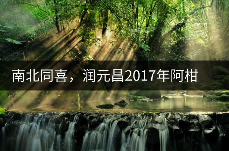 南北同喜，潤元昌2017年阿柑先生＆茶中鳳凰小青柑震撼來襲