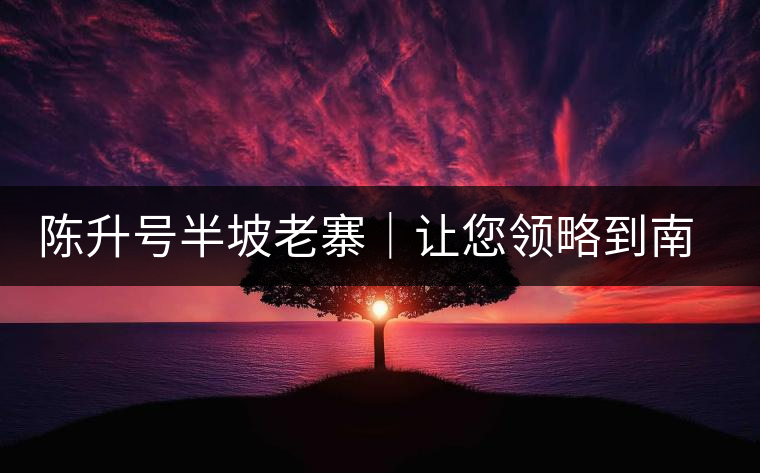 陳升號(hào)半坡老寨｜讓您領(lǐng)略到南糯山大樹茶口感的地道！