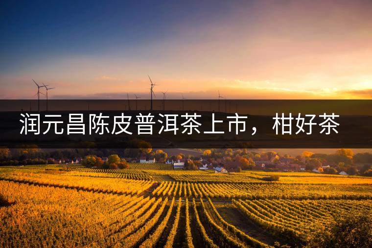 潤(rùn)元昌陳皮普洱茶上市，柑好茶更好，精品普洱茶