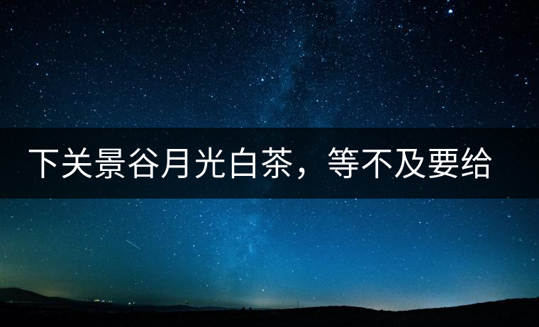 下關(guān)景谷月光白茶，等不及要給你的思念