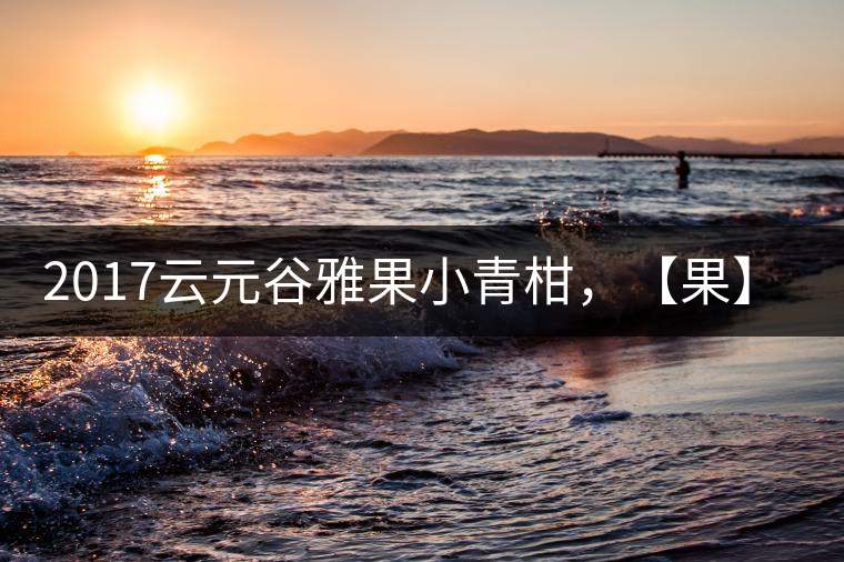 2017云元谷雅果小青柑，【果】真來了