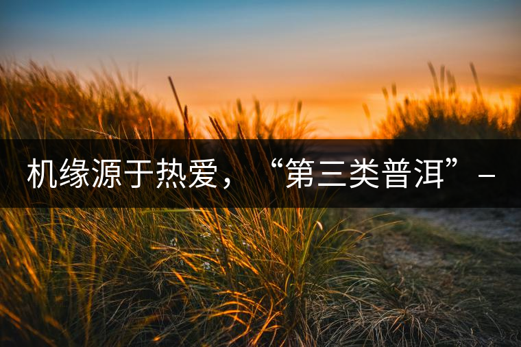 機(jī)緣源于熱愛(ài)，“第三類普洱”——“散壓茶TM”的誕生。