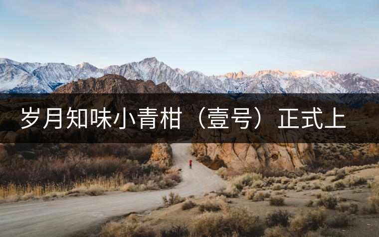 歲月知味小青柑（壹號）正式上市