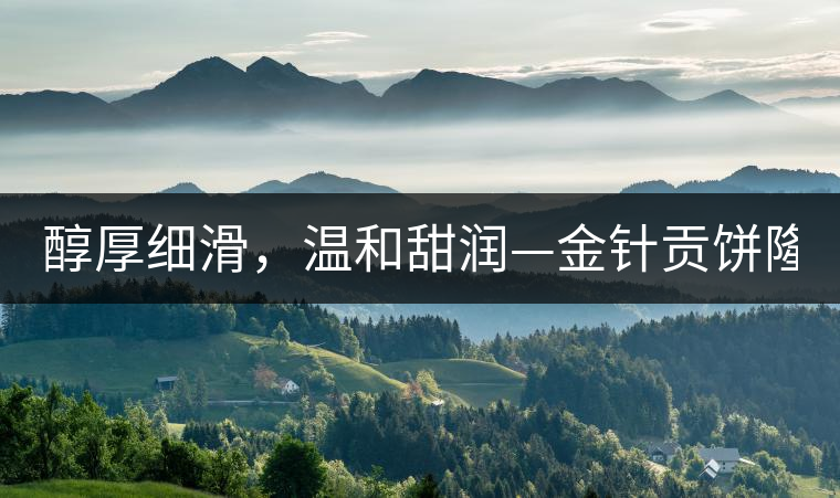 醇厚細滑，溫和甜潤—金針貢餅隆重上市！