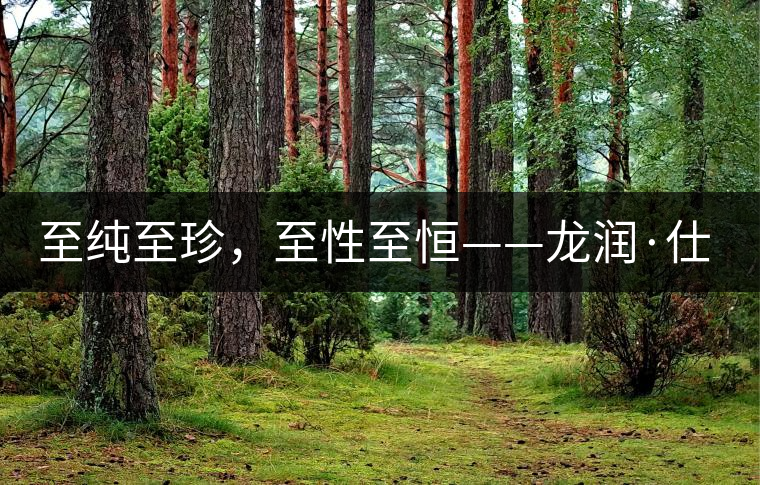 至純至珍，至性至恒——龍潤·仕通茶新上市！