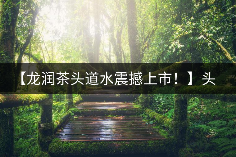 【龍潤茶頭道水震撼上市！】頭道水，二道茶，三道四道是精華！