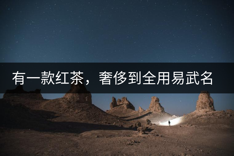 有一款紅茶，奢侈到全用易武名寨古樹茶發(fā)酵！