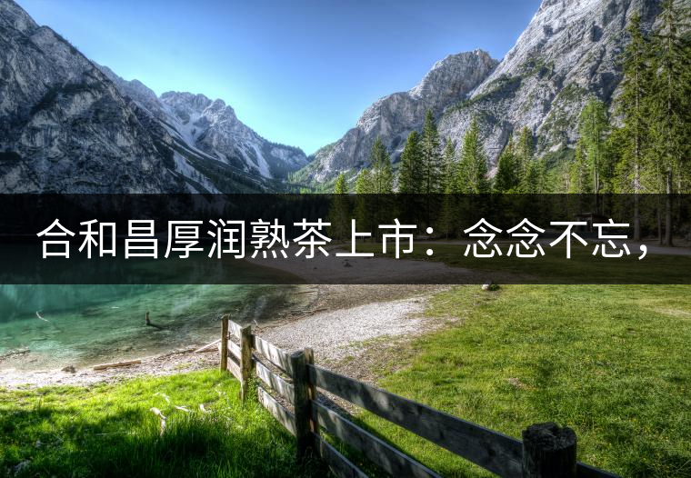 合和昌厚潤熟茶上市：念念不忘，必有回響！