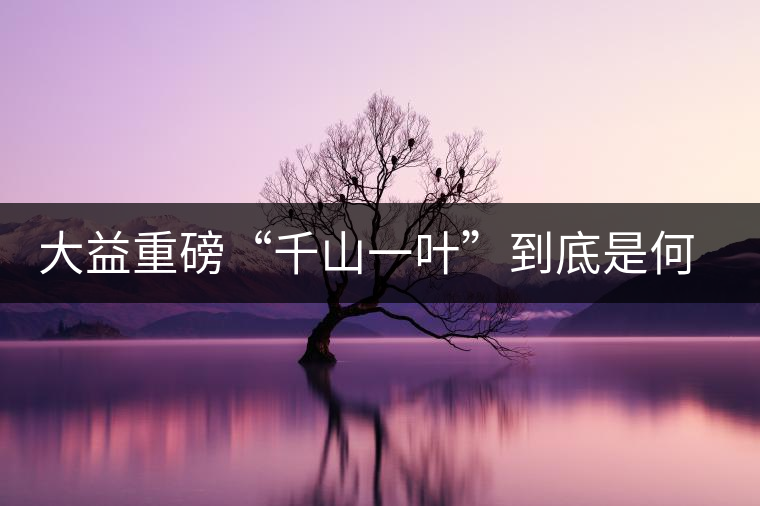 大益重磅“千山一葉”到底是何方神圣？
