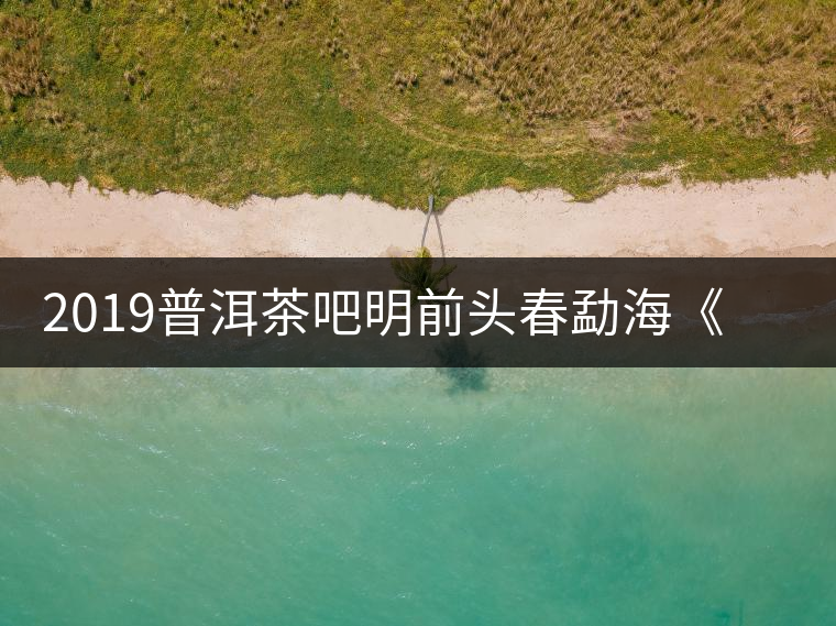 2019普洱茶吧明前頭春勐?！对鹿獍住钒撞鑳?yōu)惠訂購