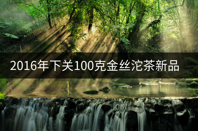 2016年下關(guān)100克金絲沱茶新品上市