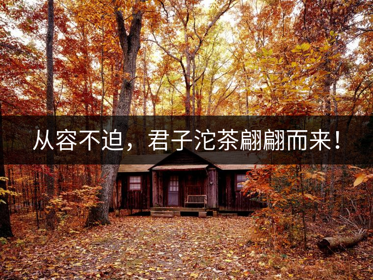 從容不迫，君子沱茶翩翩而來(lái)！