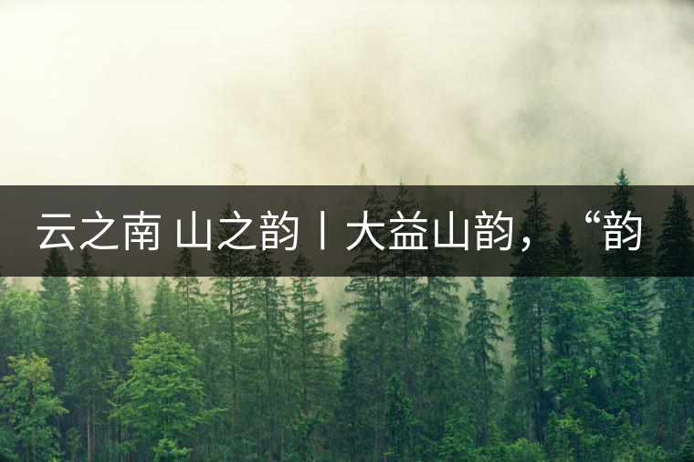 云之南 山之韻丨大益山韻，“韻”味傳奇之山韻歸來(lái)