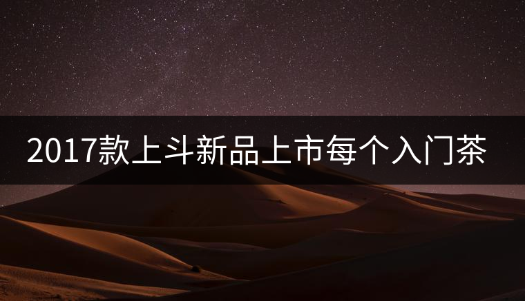 2017款上斗新品上市每個(gè)入門茶人都欠自己一餅上斗！