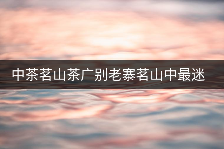 中茶茗山茶廣別老寨茗山中最迷人的那首“詩”