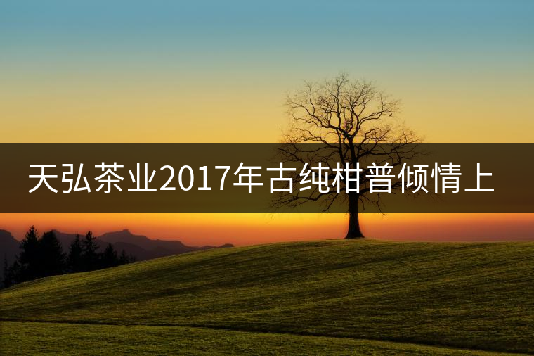 天弘茶業(yè)2017年古純柑普傾情上市 天弘茶業(yè)2017年古純柑普傾情上市