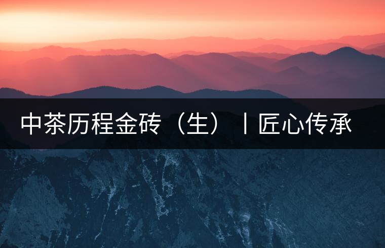 中茶歷程金磚（生）丨匠心傳承，精品迭出