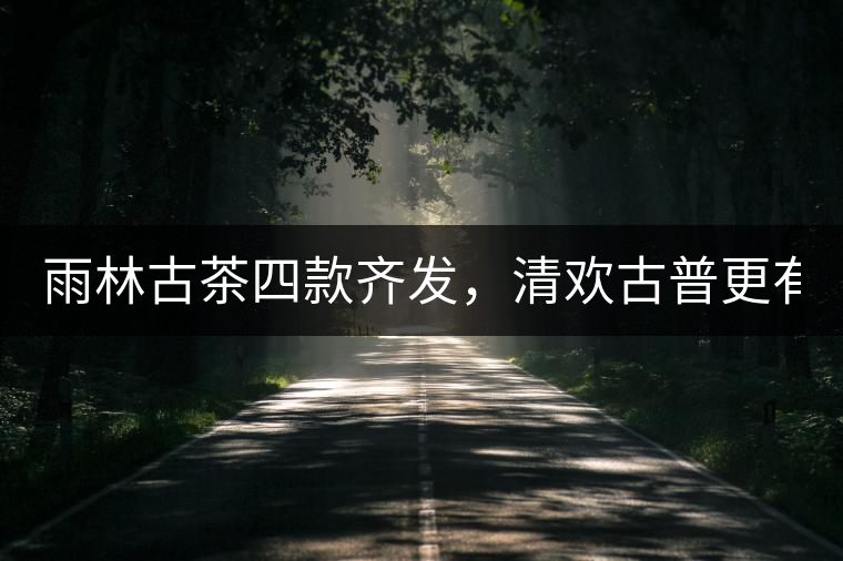 雨林古茶四款齊發(fā)，清歡古普更有味！