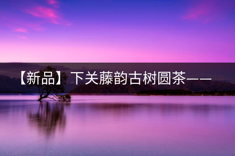 【新品】下關(guān)藤韻古樹(shù)圓茶——“千手觀音”臨世之風(fēng)骨 【新品】下關(guān)藤韻古樹(shù)圓茶——“千手觀音”臨世之風(fēng)骨