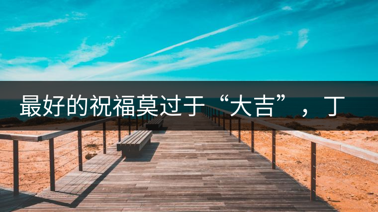 最好的祝福莫過于“大吉”，丁酉年生肖餅震撼來襲！