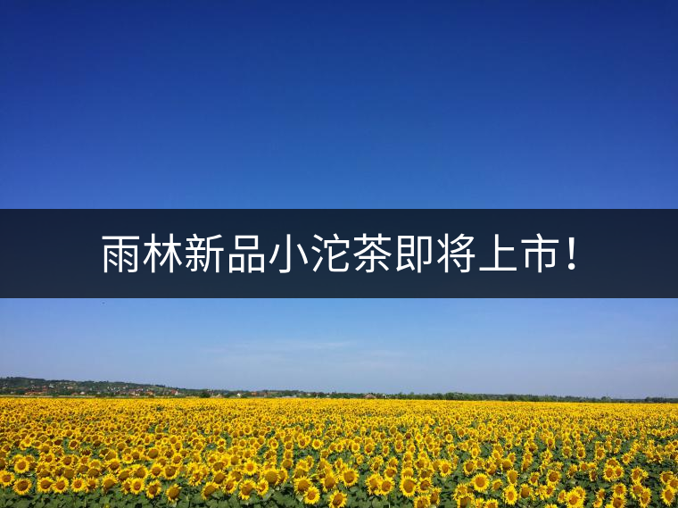 雨林新品小沱茶即將上市！
