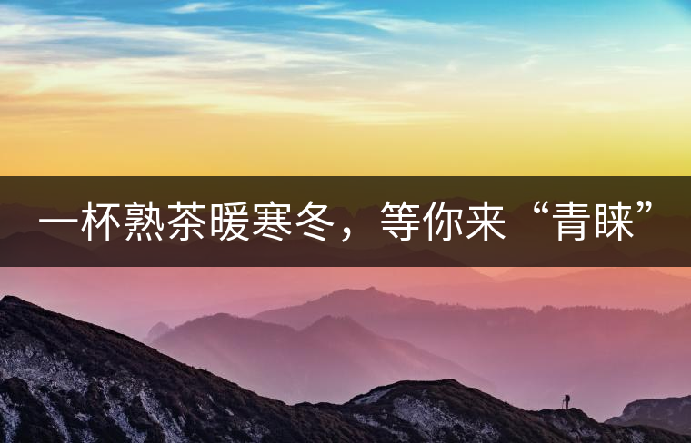 一杯熟茶暖寒冬，等你來“青睞”