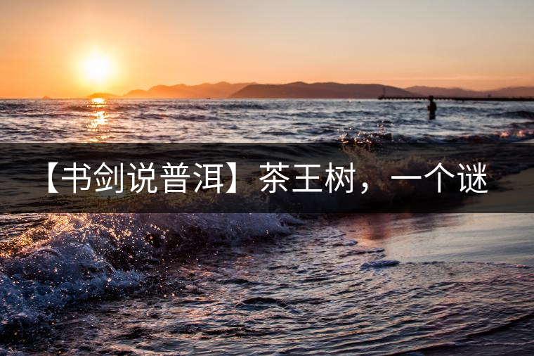 【書(shū)劍說(shuō)普洱】茶王樹(shù)，一個(gè)謎一樣的地方